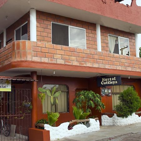 Hostal Cattleya Puerto Baquerizo Moreno Exteriér fotografie