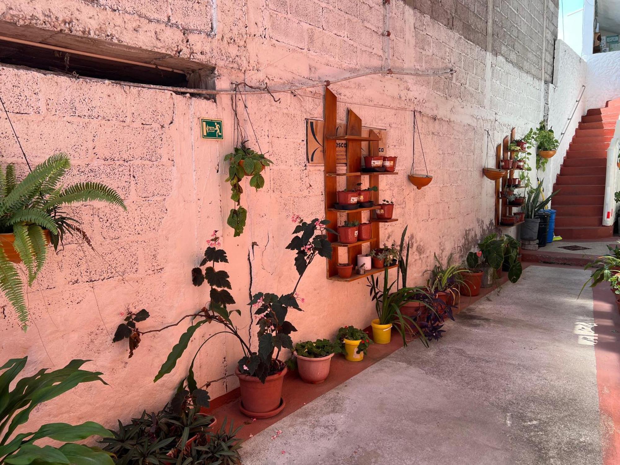 Hostal Cattleya Puerto Baquerizo Moreno Exteriér fotografie