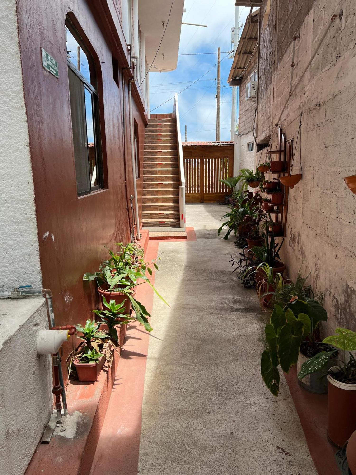 Hostal Cattleya Puerto Baquerizo Moreno Exteriér fotografie