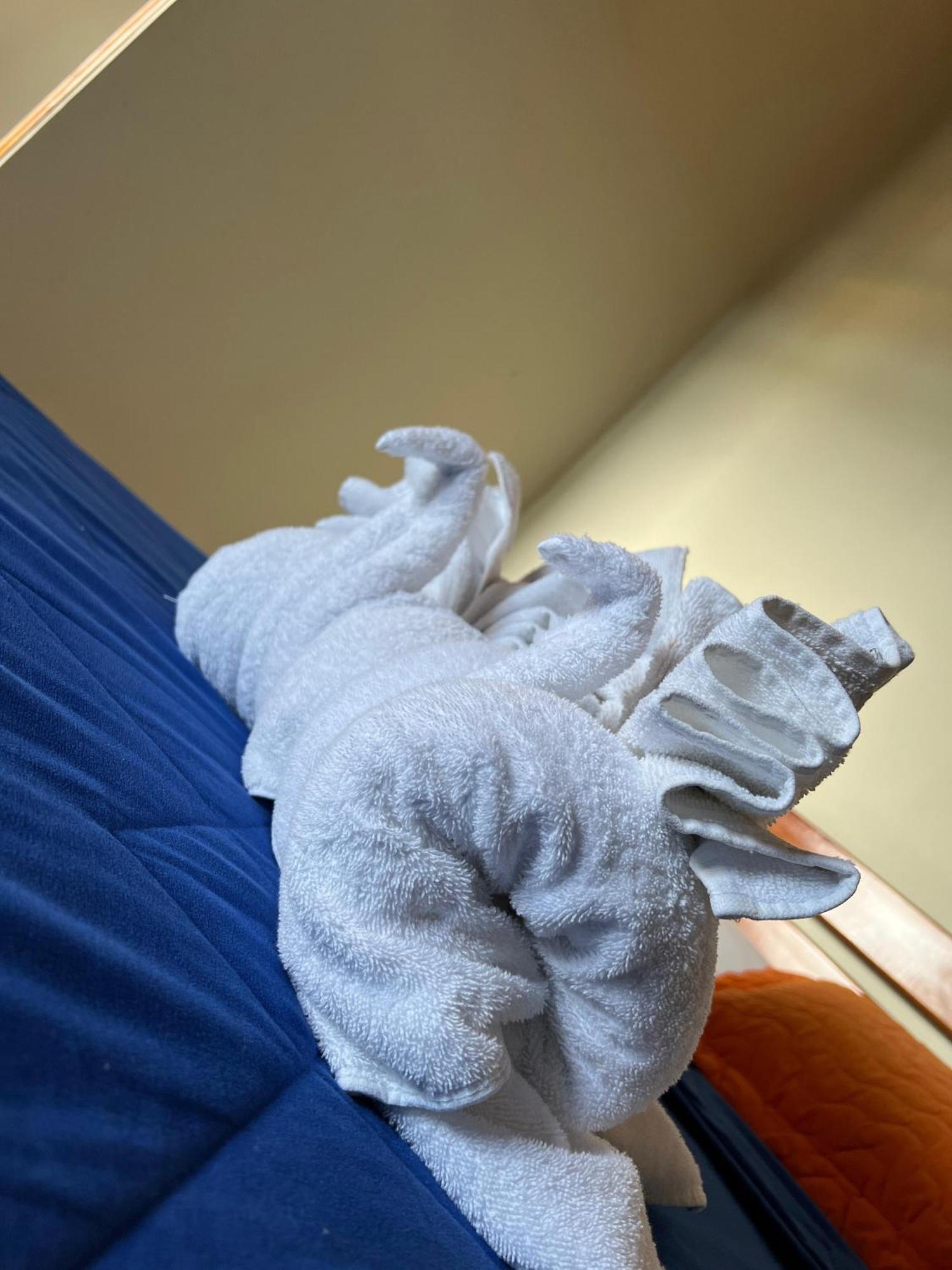 Hostal Cattleya Puerto Baquerizo Moreno Exteriér fotografie
