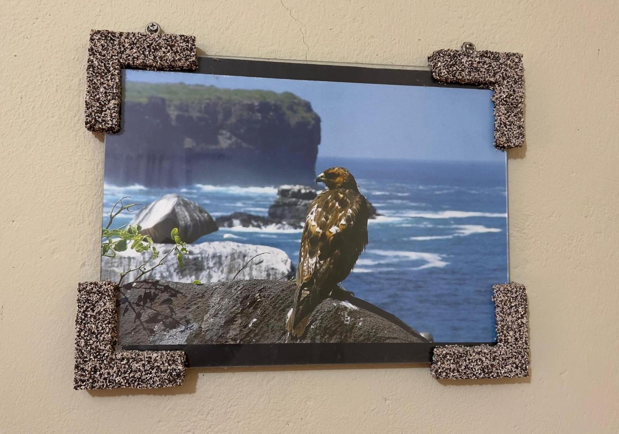 Hostal Cattleya Puerto Baquerizo Moreno Exteriér fotografie