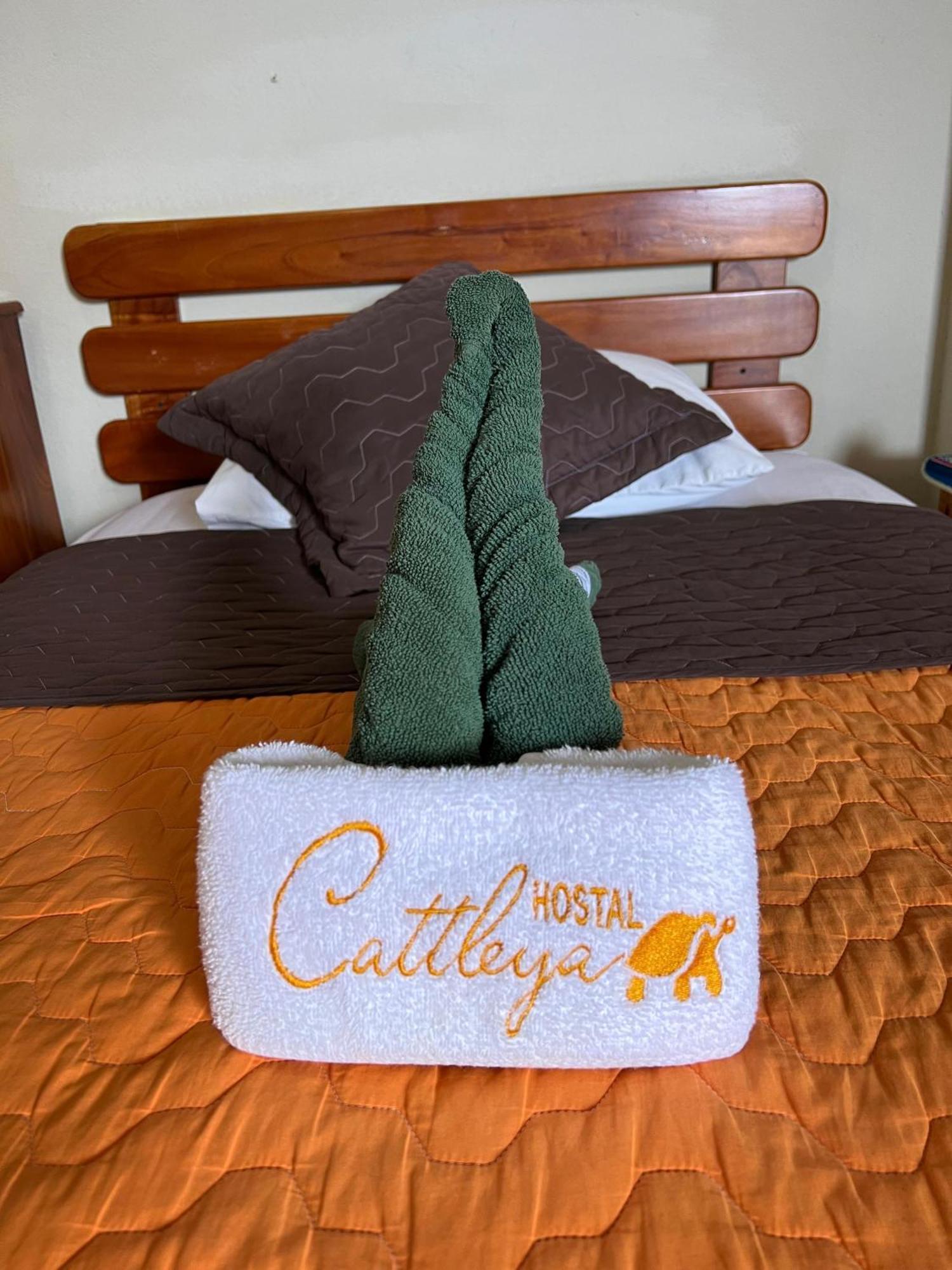 Hostal Cattleya Puerto Baquerizo Moreno Exteriér fotografie